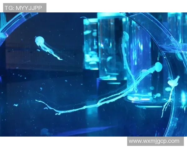 名古屋鲸八与东京FC激战在即谁将赢得这场精彩对决 名古屋鲸八与东京FC激战在即谁将赢得这场精彩对决