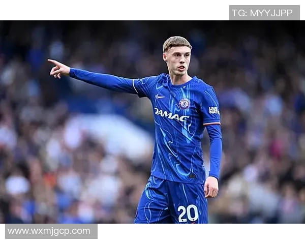 TA：蓝军短少一名高效射手，帕尔默还需与其别人树立默契